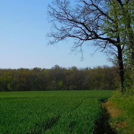 Mirelaure, Havre Convivial Au Coeur De 32 Hectares *
