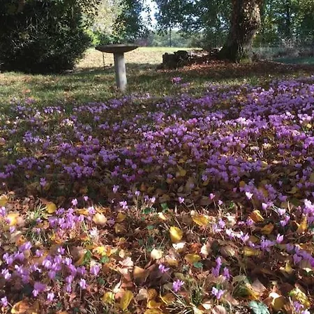Mirelaure, Havre Convivial Au Coeur De 32 Hectares