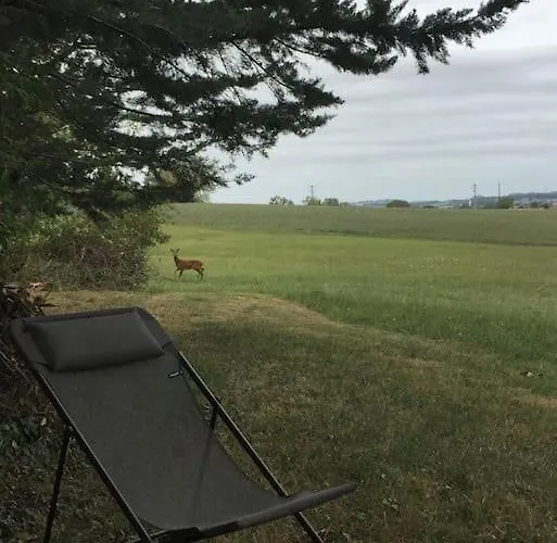 Mirelaure, Havre Convivial Au Coeur De 32 Hectares Mirepoix
