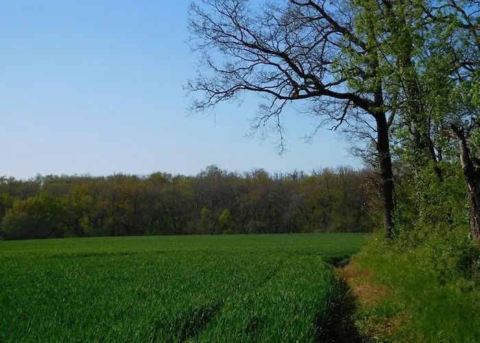 Mirelaure, Havre Convivial Au Coeur De 32 Hectares *