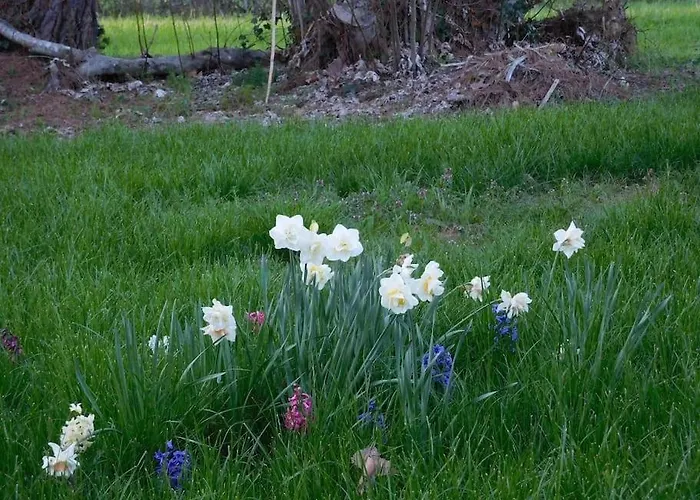Mirelaure, Havre Convivial Au Coeur De 32 Hectares Nyaraló *